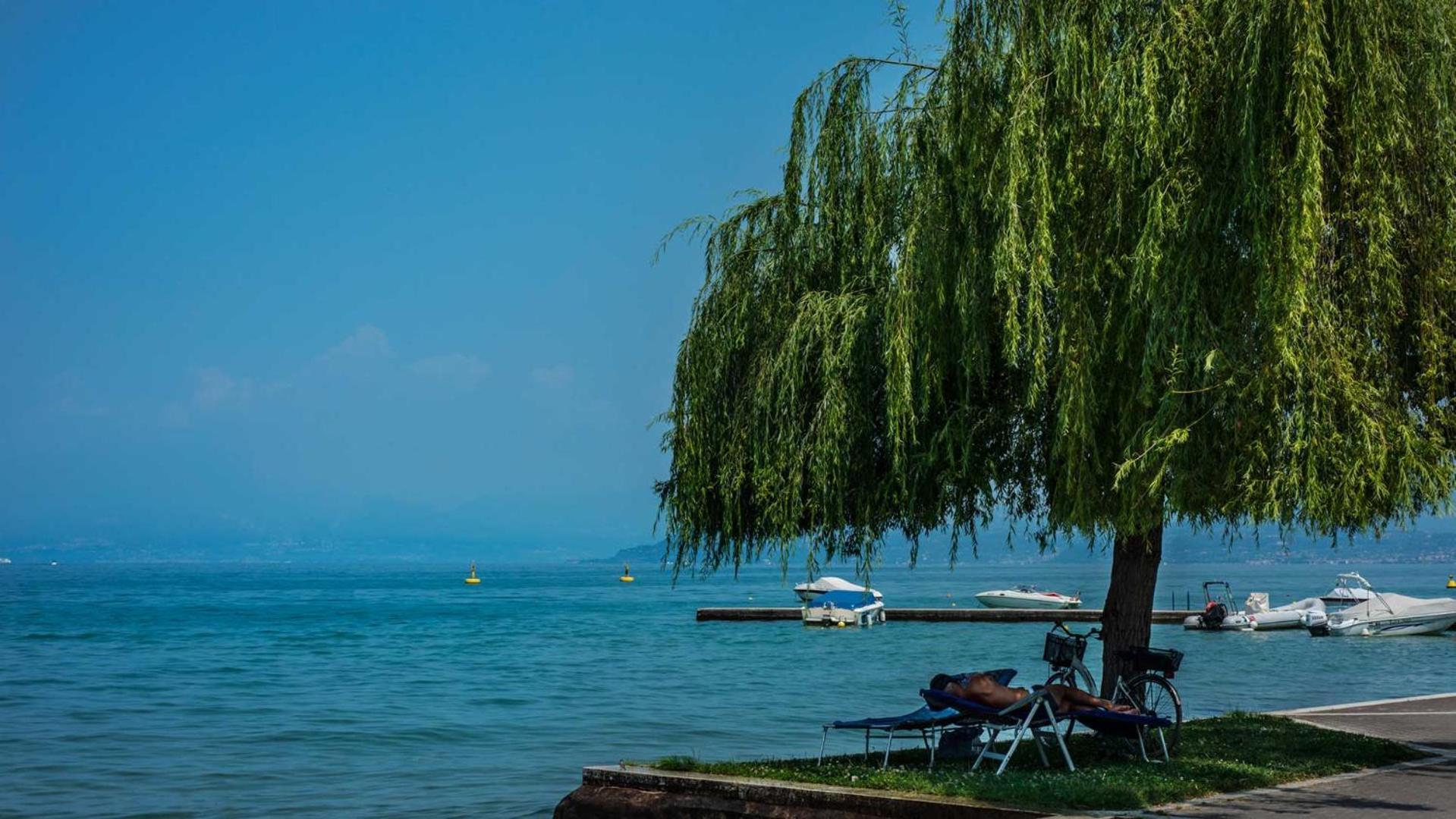 Glamping Gasparina * Ronchi (Veneto)